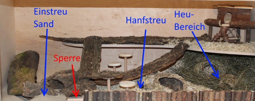 Aufteilung bereits bei der Hamsterkäfig Einrichtung