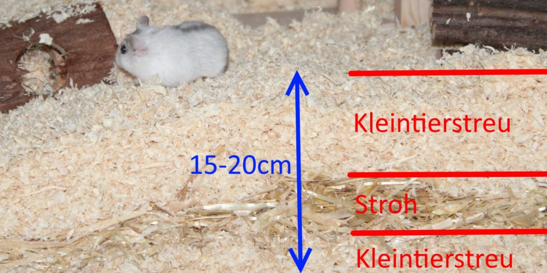 Einstreu in mehreren Schichten für Stabilität
