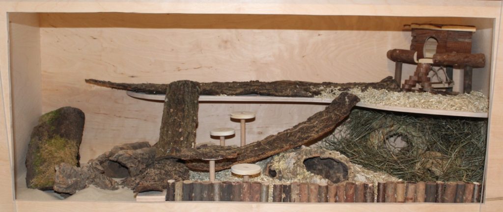 Halbe Etage im Hamsterkäfig