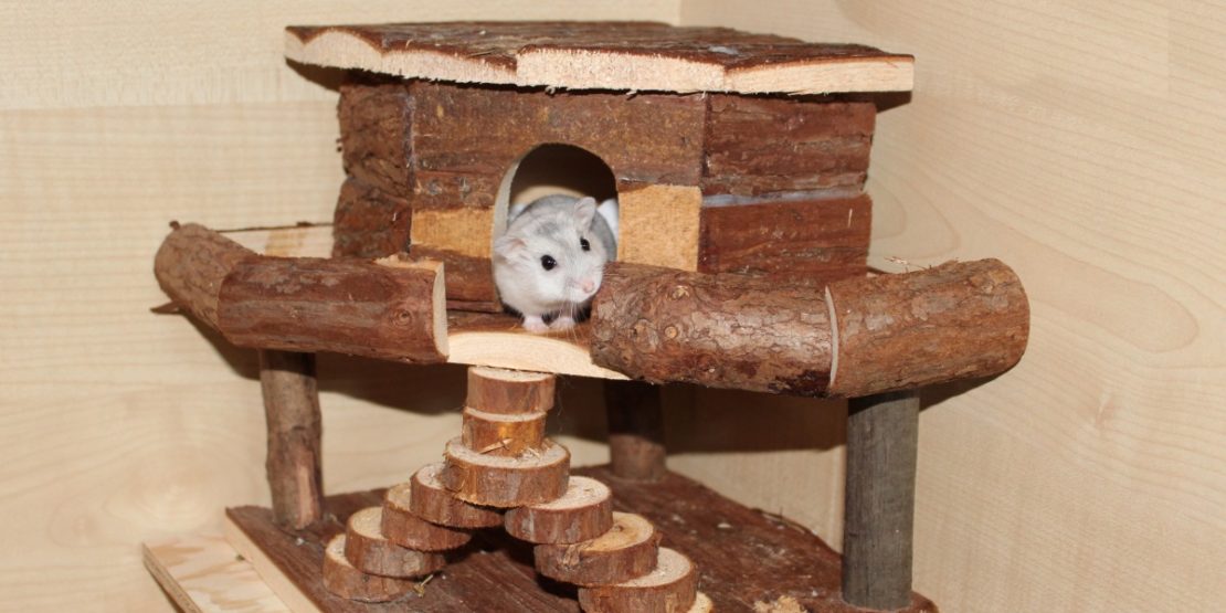 Hamsterhäuser im Käfig