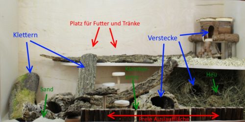 Käfigstruktur - Bereiche und Aufteilung