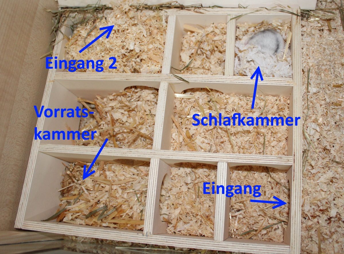 Bewohntes Mehrkammerhaus