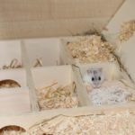 Hamster in Schlafkammer im Mehrkammerhaus