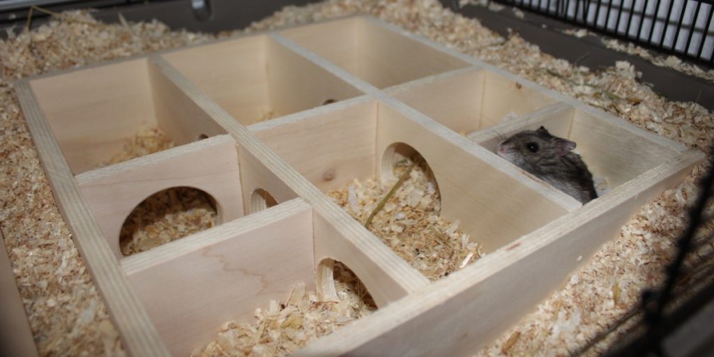 Mehrkammerhaus - Ersatz für mehrere Hamsterhäuser
