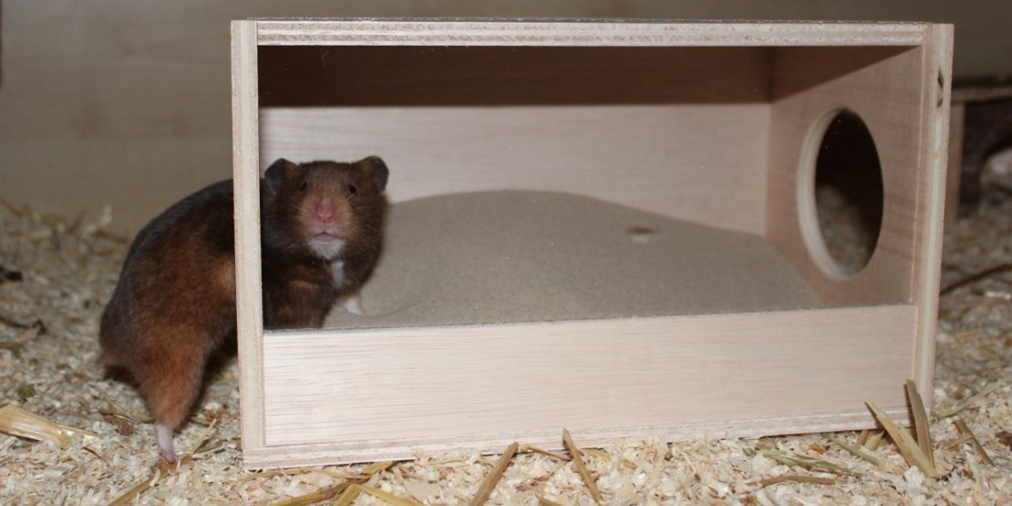 Badehaus für Hamster