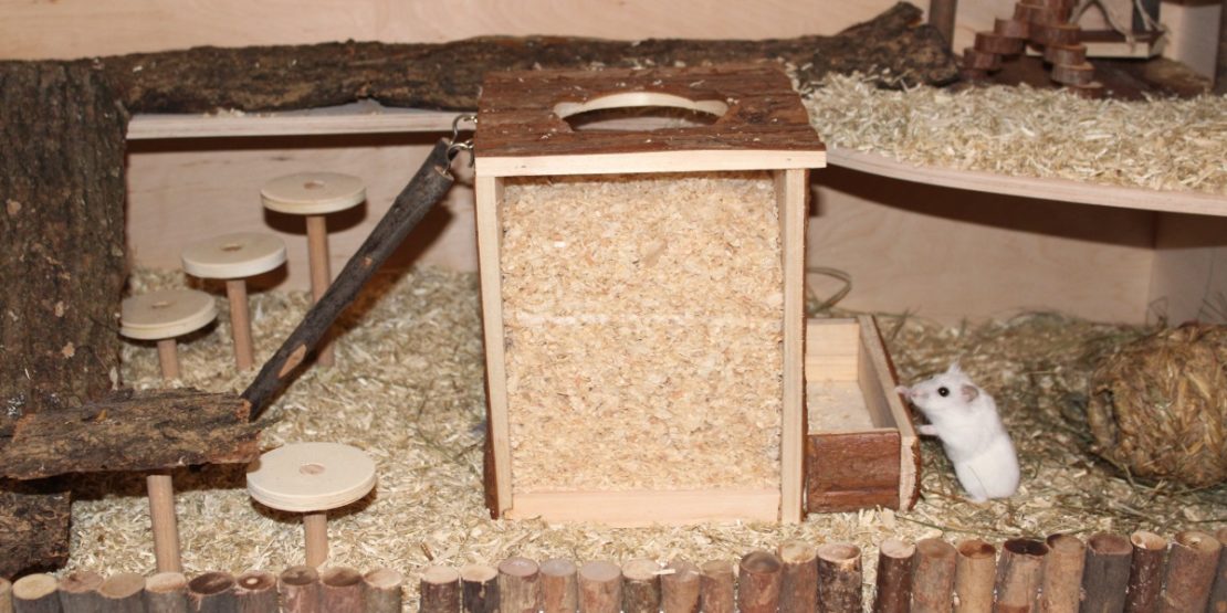 Der Buddelturm für den Hamster