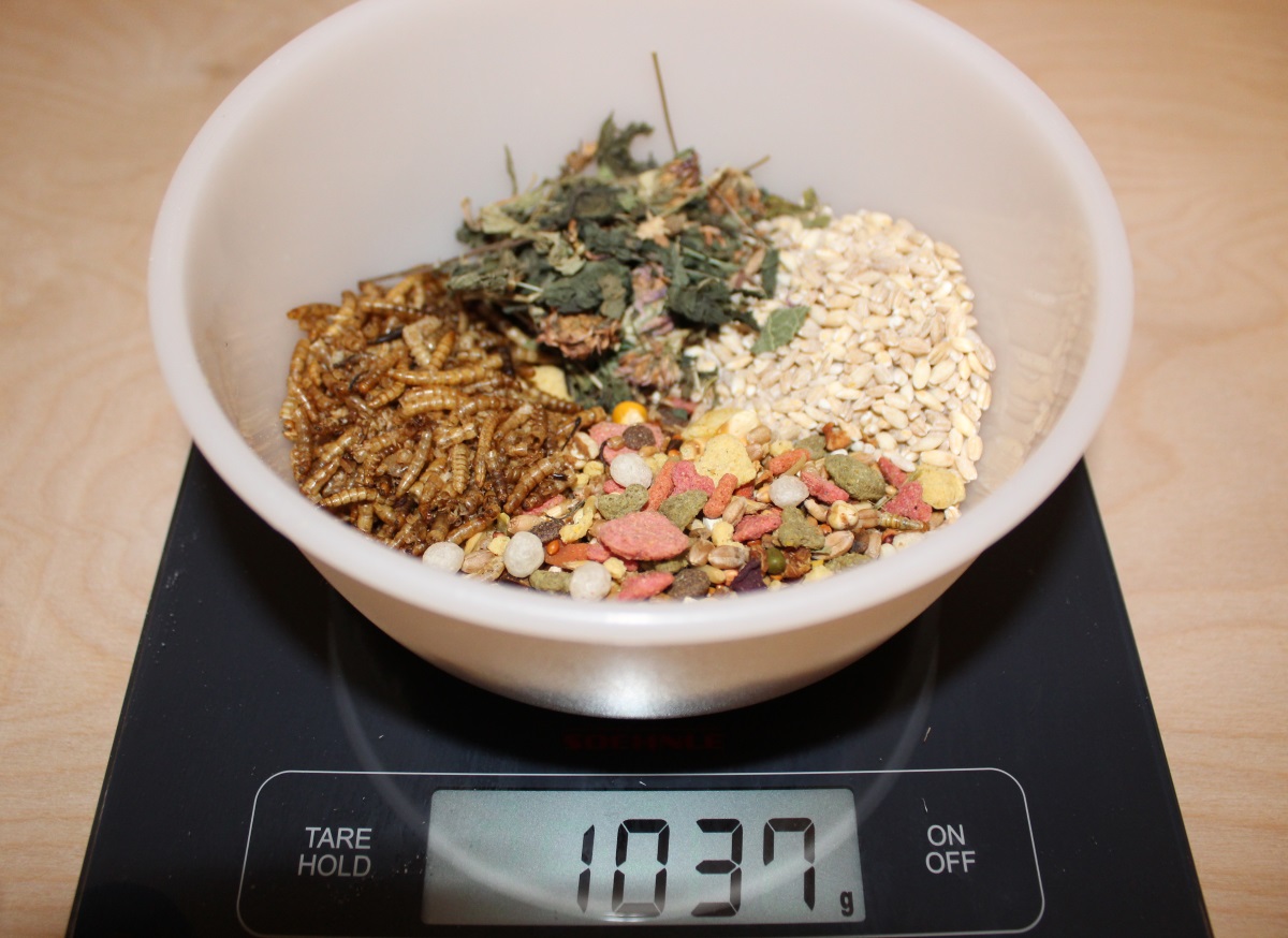 Hamsterfutter selber mischen ⇒ Günstig und gesund mit diesen Tipps - Futter Selber Mischen