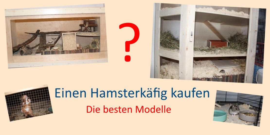 Hamsterkäfig kaufen