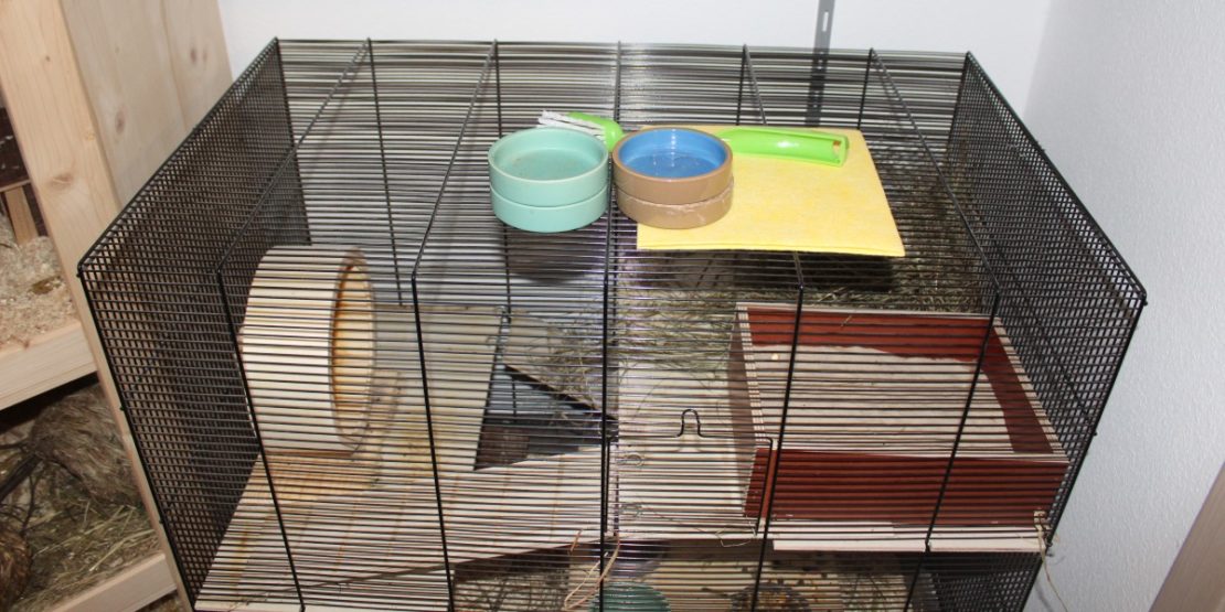 Die Hamsterkäfig Reinigung