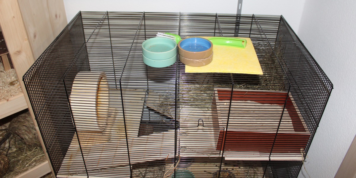 Die Reinigung Hamster Haltung De