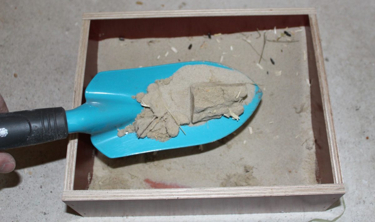 Hamster Sand nach der Verwendung entsorgen