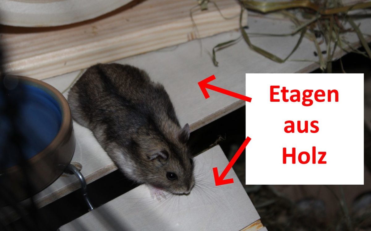 Etagen aus Holz machen Hamsterkäfig artgerecht