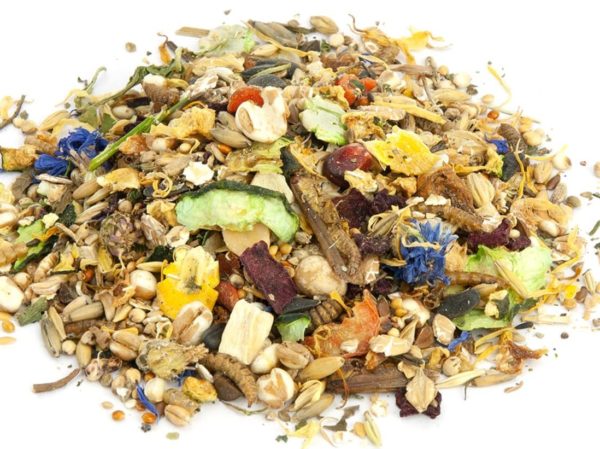 Was Dürfen Hamster Nicht Fressen Verbotenes Hamsterfutter - Diese 13 Dinge darf der Hamster nicht fressen