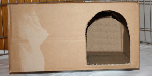 Hamsterspielzeug selber bauen