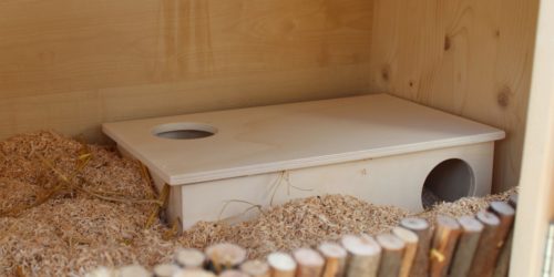 Hamsterhaus mit 3 Kammern