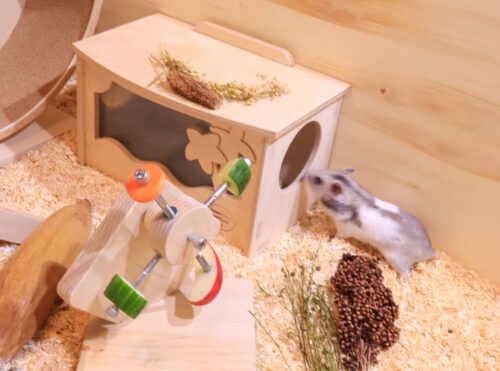 Das Foto zeigt ein Hamsterbadehaus