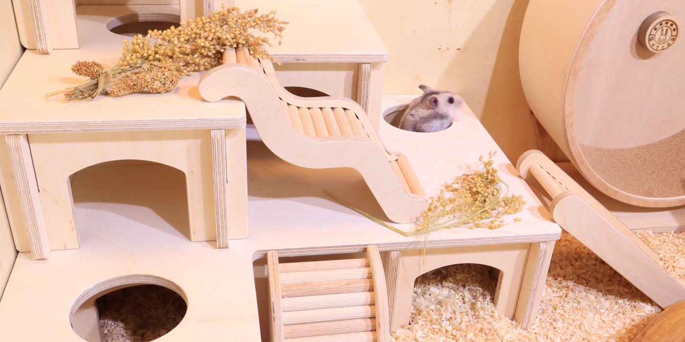 Die Einstreu Im Hamsterk fig Tipp Vom Profi Heu Und Streu In Schichten Die Einstreu Im Hamsterk fig Tipp Vom Profi Heu Und Streu In Schichten