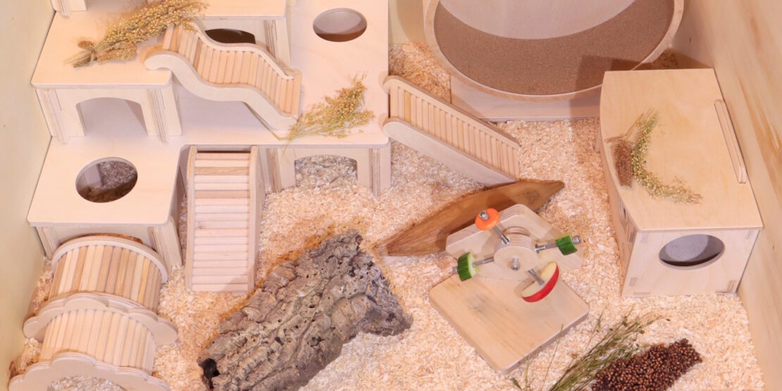 Hamsterkfig einrichten - Vom ersten Schritt bis zum Einzug